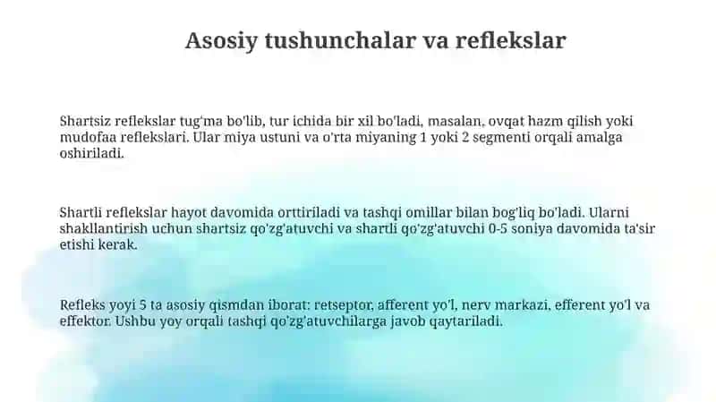 Yuksak nerv faoliyati I.P.Pavlov ta'limotining asosiy qoidalari 3