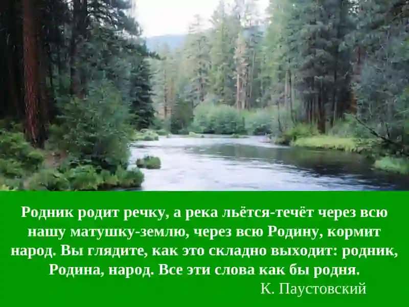 Однокоренные слова    и формы одного и того же слова 3