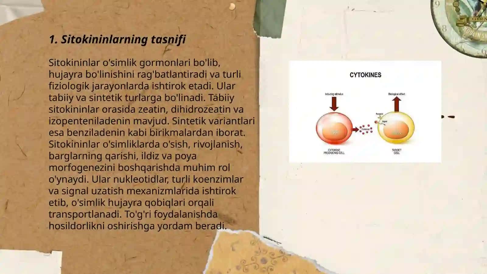 Sitokininlar, Interferon 3