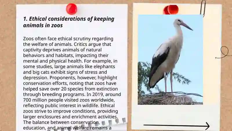 Ethical considerations of keeping animals in zoos 3