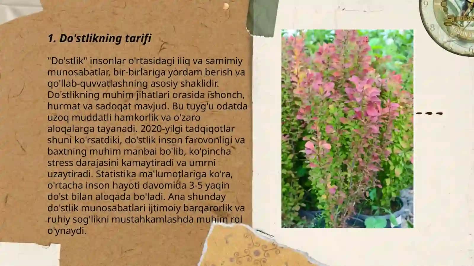 Zirkdoshlar 3