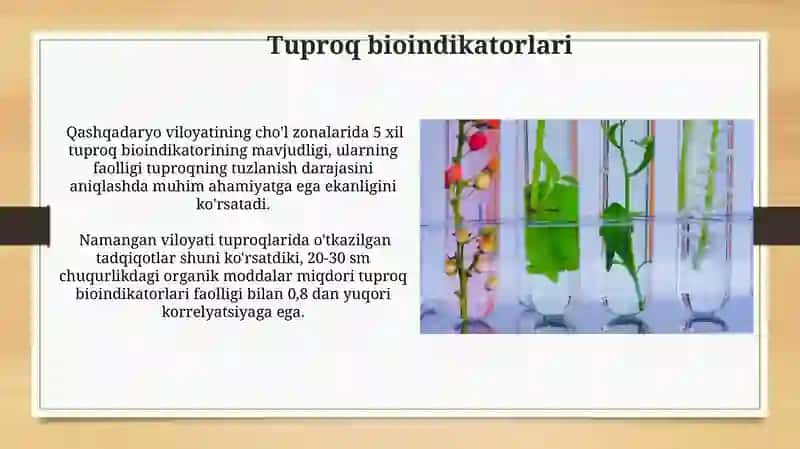 Bioindekatorlar va ularning turlari 3