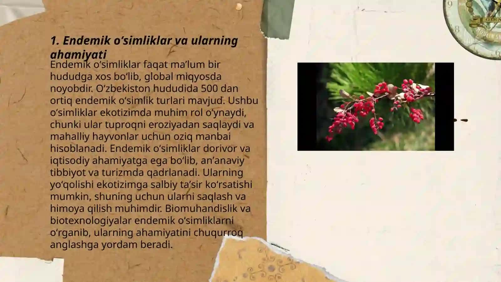 Turli mintaqalardagi endemik oʻsimliklar va ularni muhofaza qilish 3