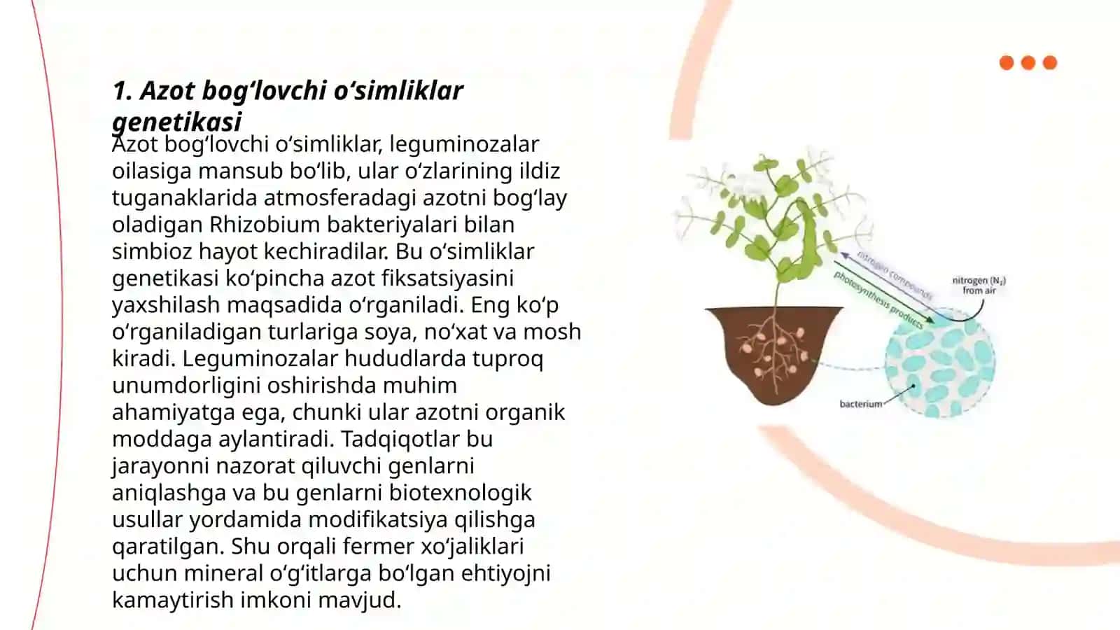 Azot bogʻlovchi oʻsimliklarni gen injeneriyasi yordamida yaratish 3