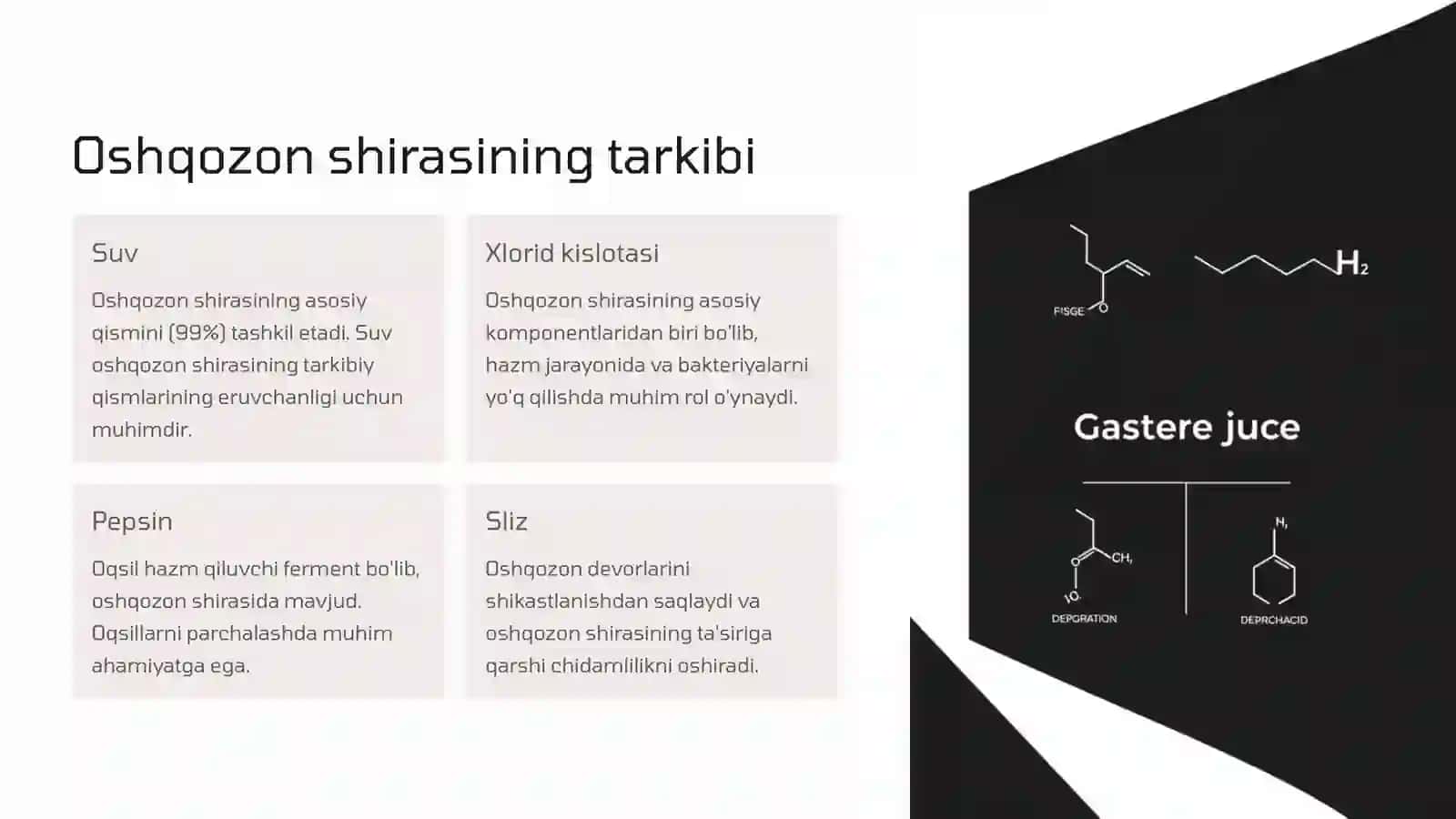 Oshqozon shirasini interpretatsiyasi 3