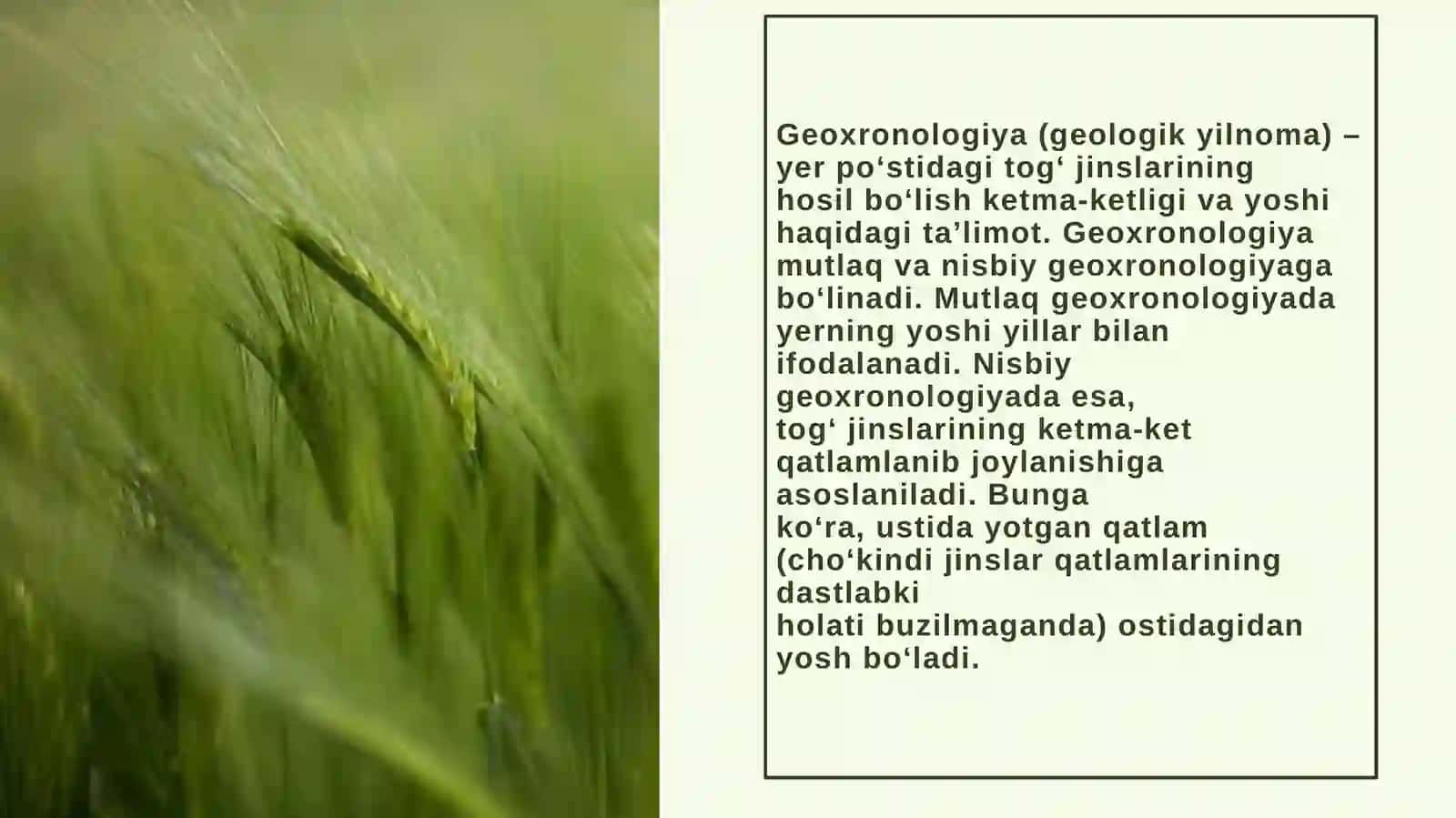 Geoxronolgikjadvalasosiytog’hosilbo’lishbosqichlari 3