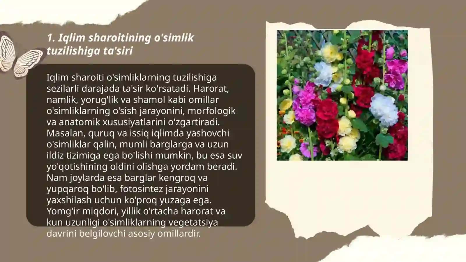 O'simlik tuzilishi ta'siri 3