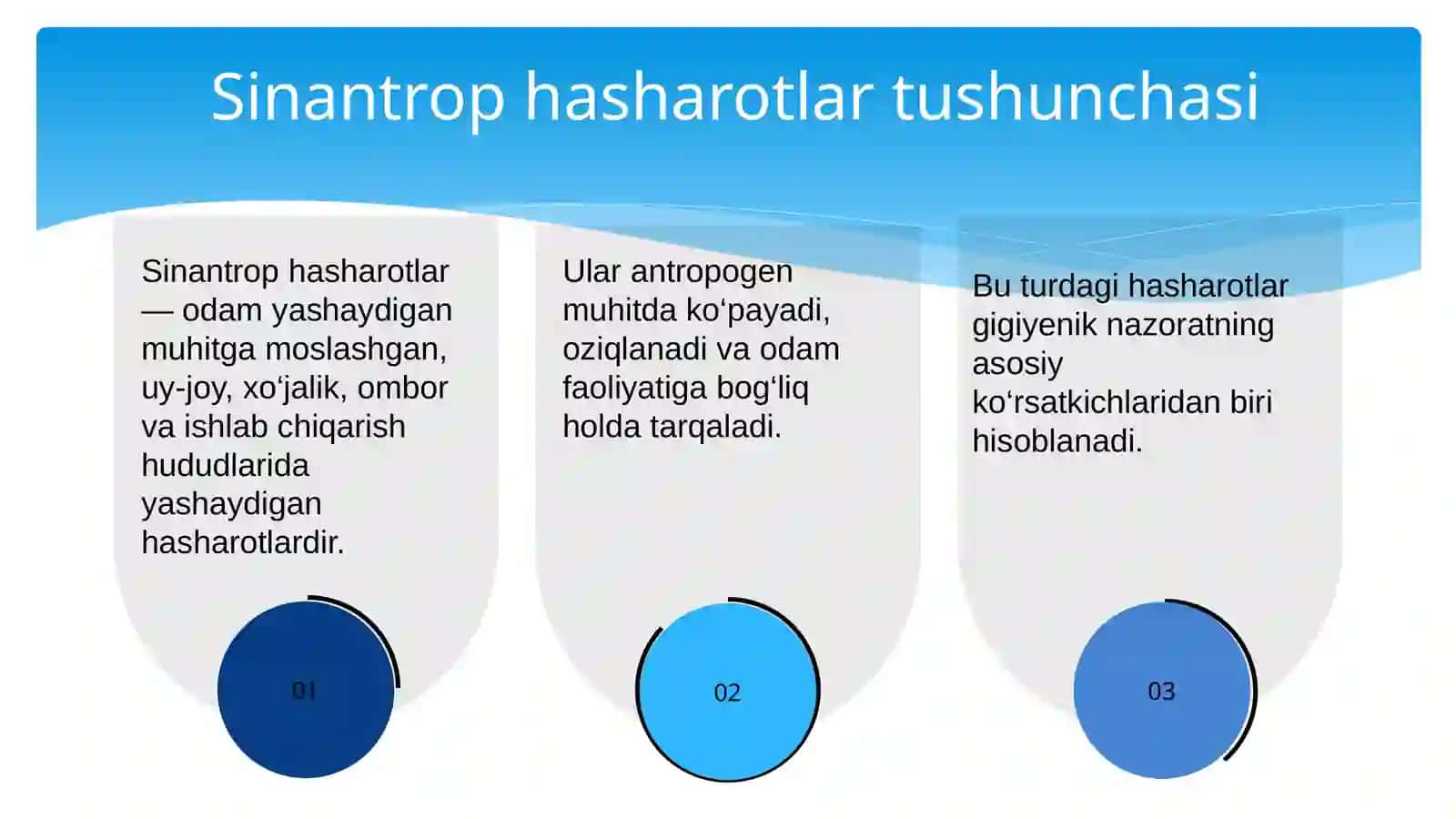 Sinantrop ko‘rinishidag hasharotlar va ularning epidemiologik ahamiyati 3