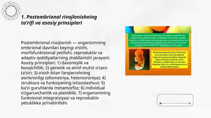 Postembrional rivojlanishning umumiy qonuniyatlari Meliqo‘ziyeva Zaynabxon 3