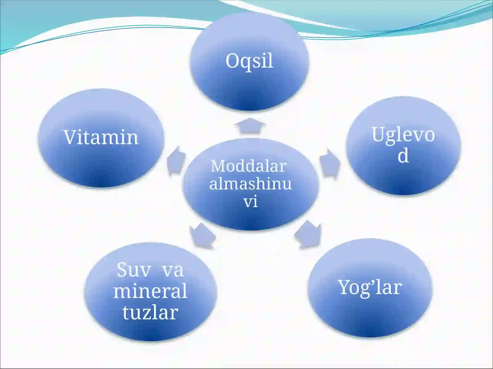 Biologiya: Vitaminlar va ularning moddalar almashinuvi va ahamiyati 3