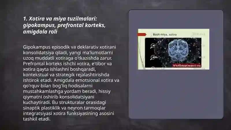 Xotiraning nerv -fiziologik asosi 3