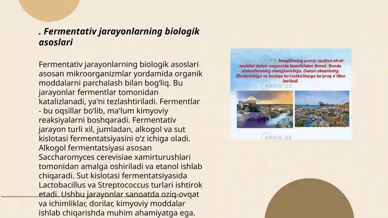Bakteriyalarda fermentativ jarayonlar 3