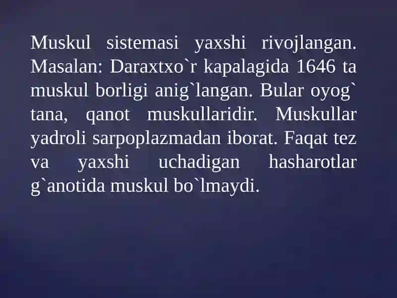 Hasharotlarning anatomiyasi 3