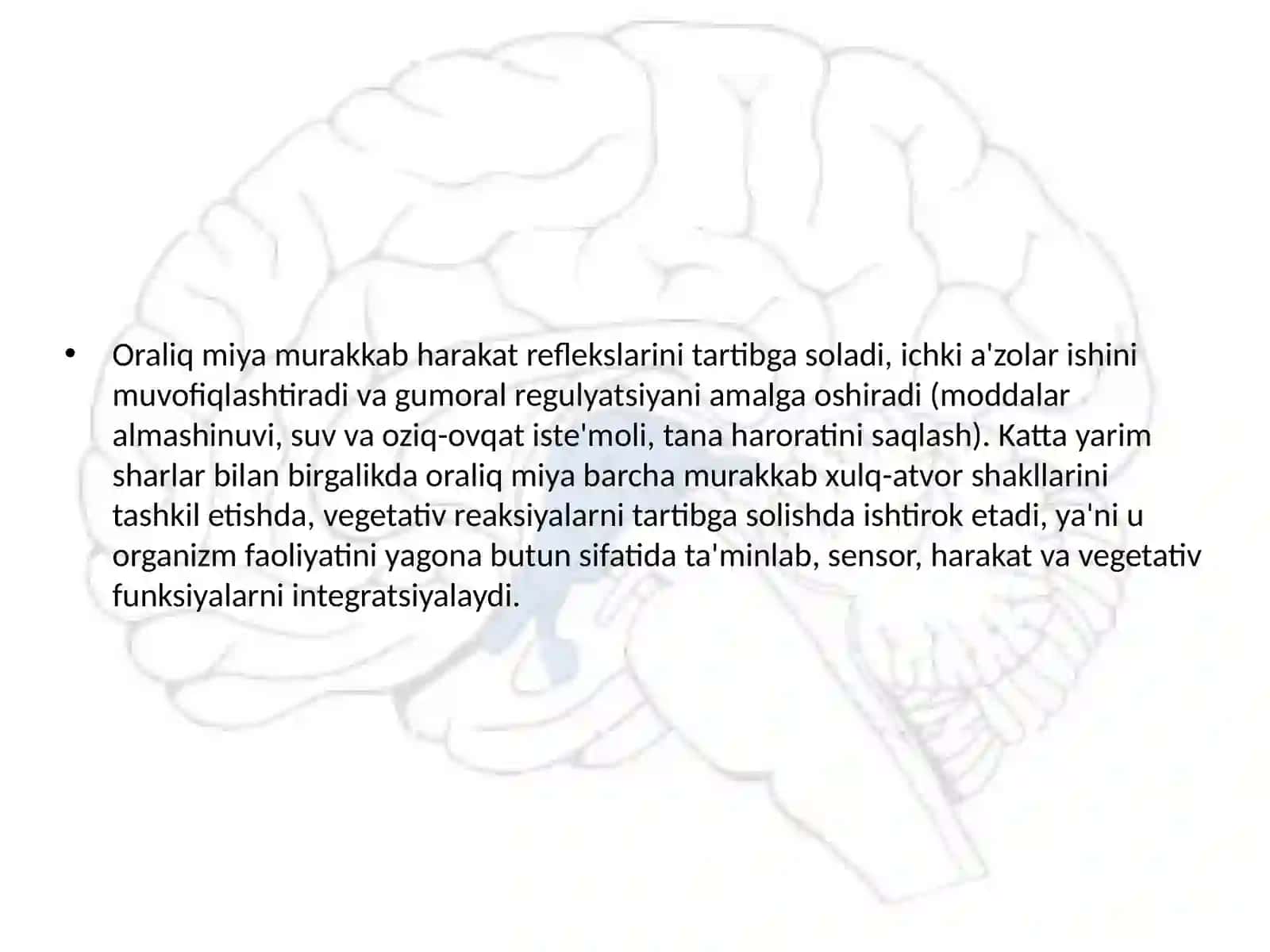 Oraliq miya anatomiyasi va vazifalari 3