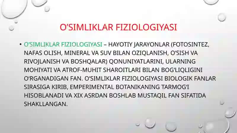 O‘simliklar hayoti 3