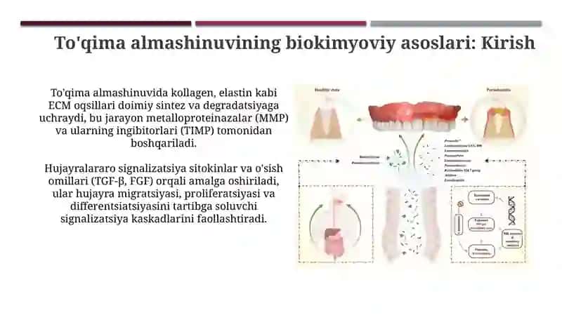 tish anomaliyasi 3