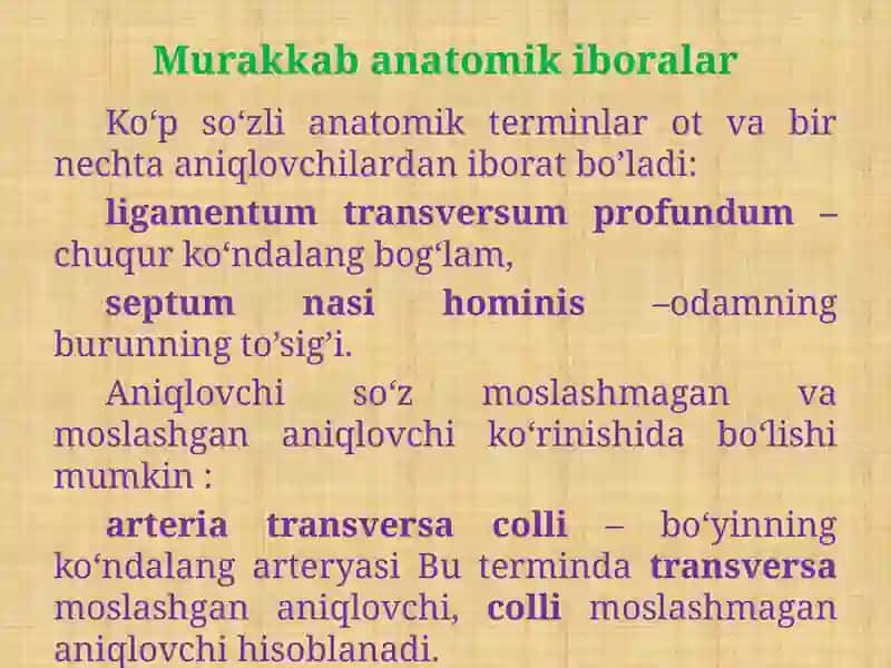 MOSLASHGAN VA MOSLASHMAGAN ANIQLOVCHI ISHTIROKIDA MURAKKAB ANOTOMIK TERMIN STRUKTURASI 3