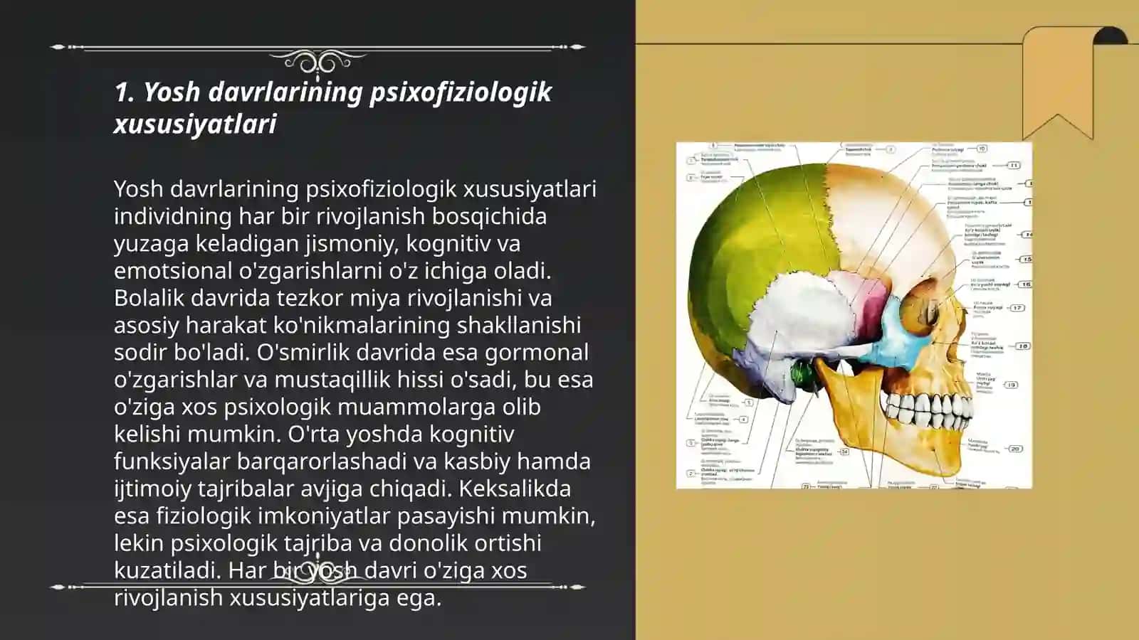 Kalla suyagining yosh va jinsga nisbatan xususiyatlari,rivojlanish nuqsonlari 3