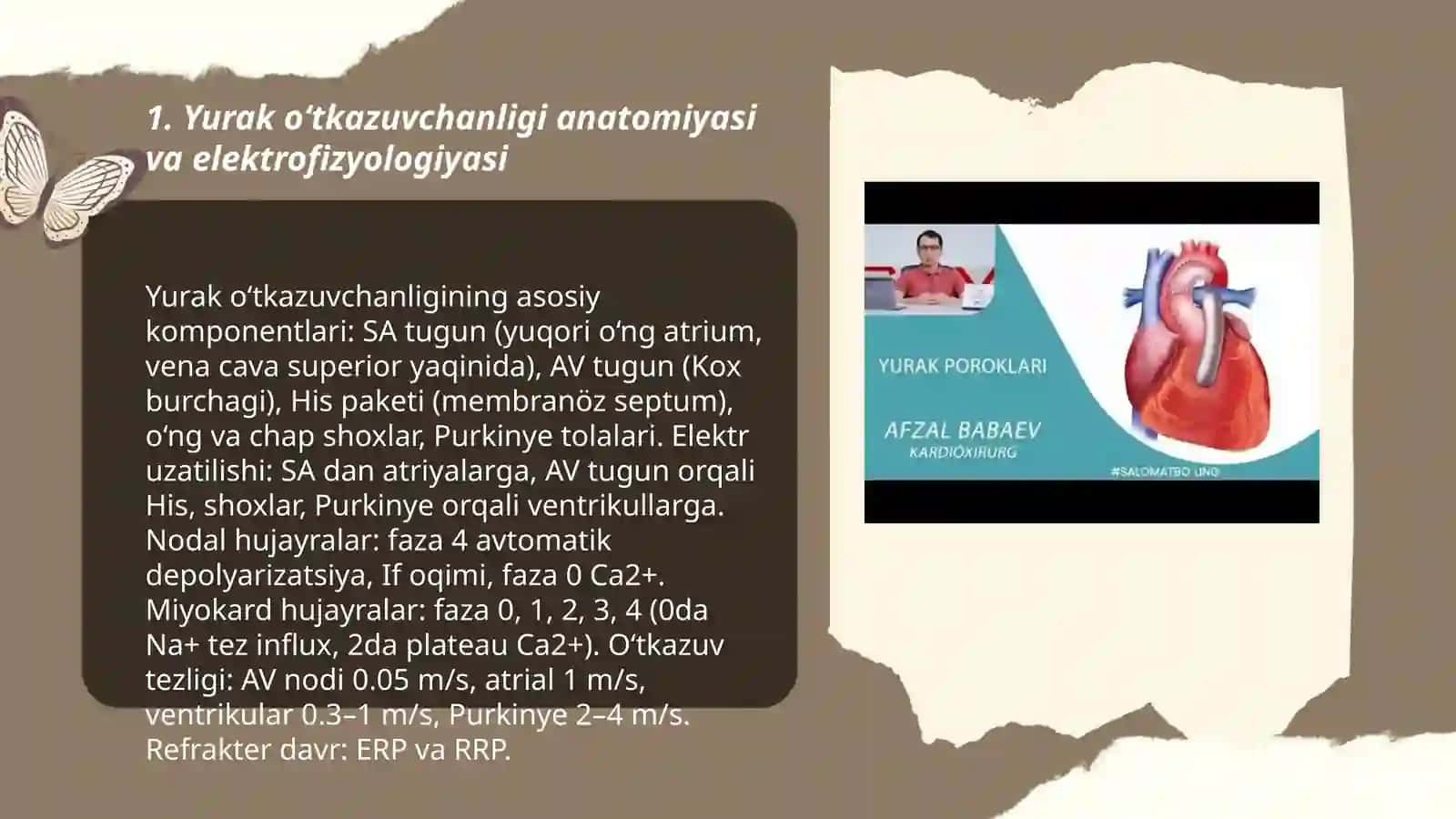 Yurak o‘tkazuvchanligi anatomiyasi va elektrofizyologiyasi 3