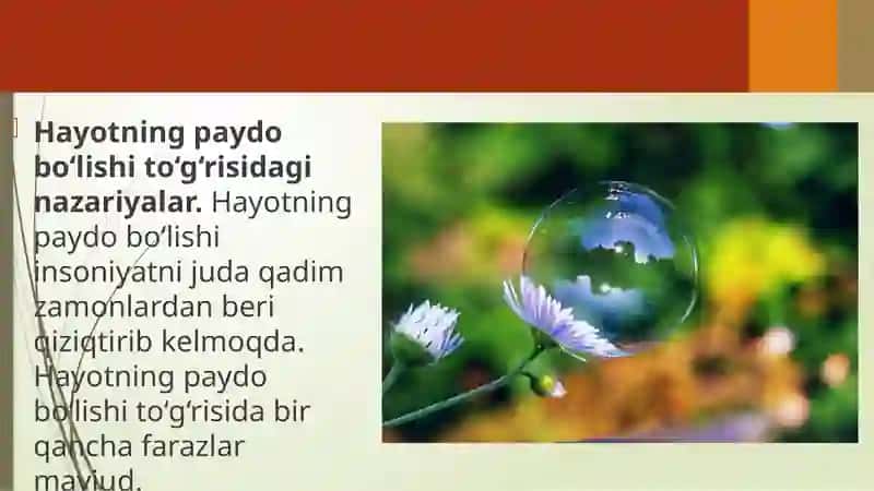 Yerdahayotning paydobo'lishi haqidagi nazariyalar 3