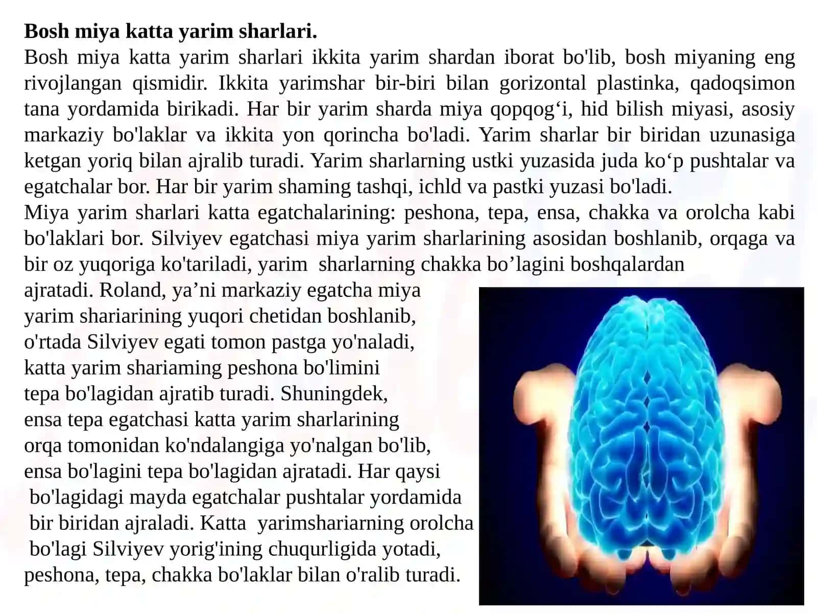 MA’RUZA.Oliy nerv faoliyati fiziologiyasining yosh xususiyatlari 3