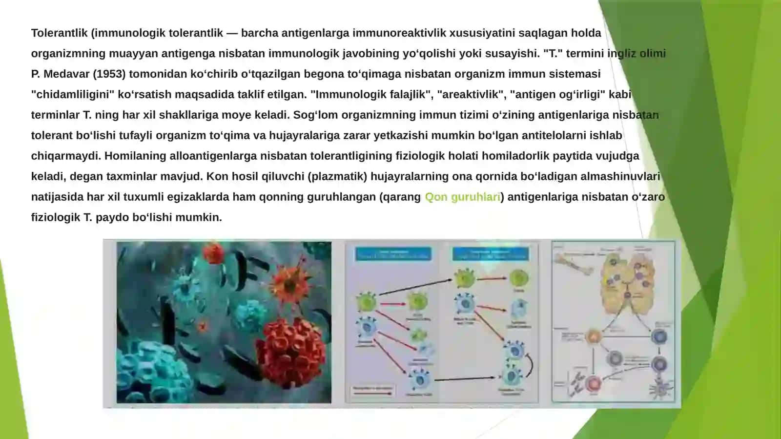 Immunologik tolerantlik nuqsonlari. Autoimmun xastaliklar 3