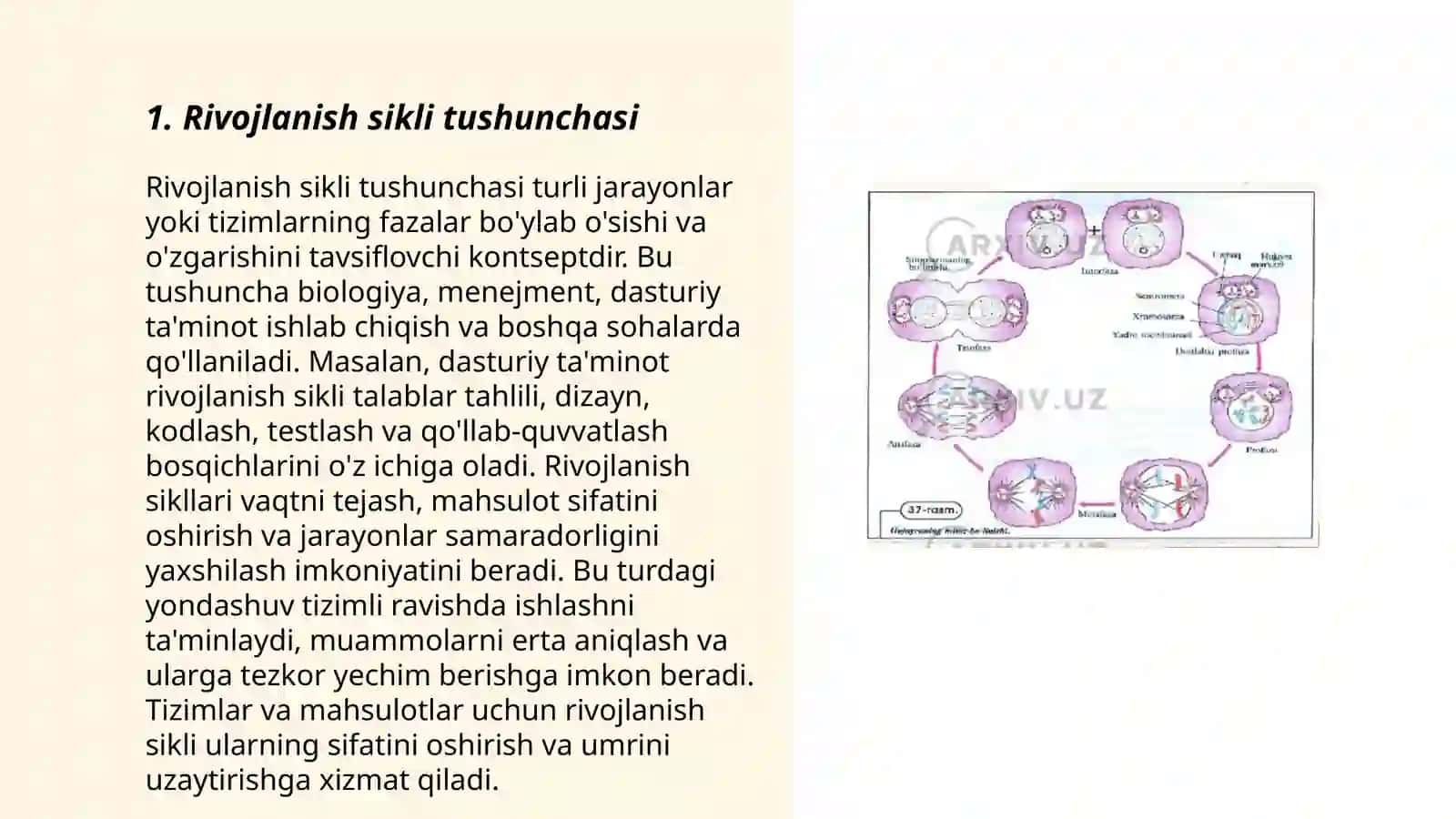 Rivojlanish sikli haqida tushuncha 3
