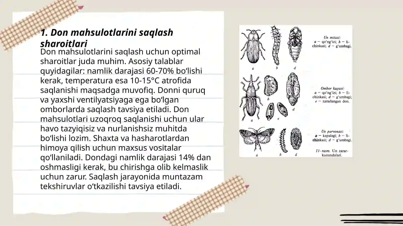 Don zahiralarining zararkunandalari 3