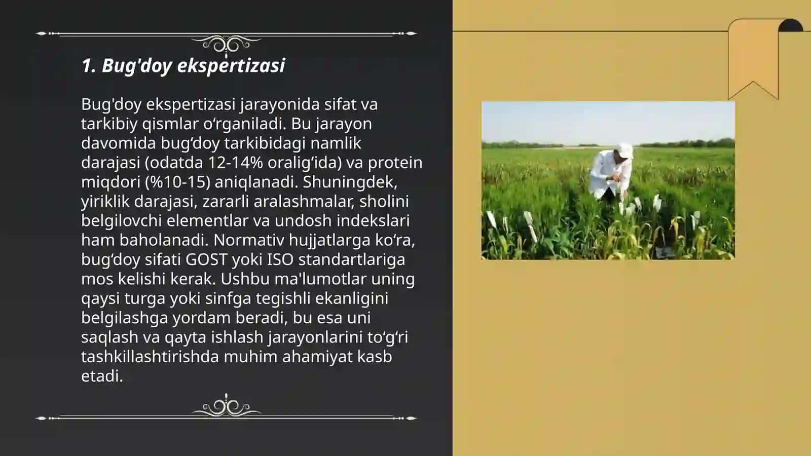 Un, yorma, kraxmal, donli va dukkakli osimliklar ekspertizasi 3