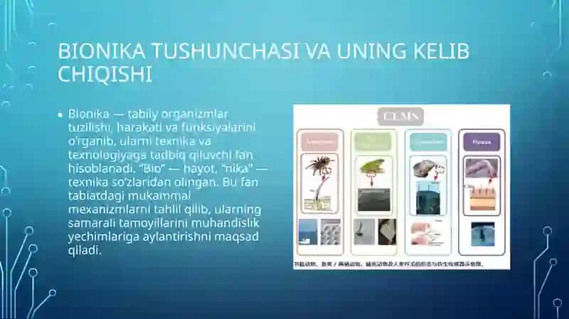 Biofizika - Bionika asoslari va uning inson hayotidagi oʻrni (11 slayd PPT) 3