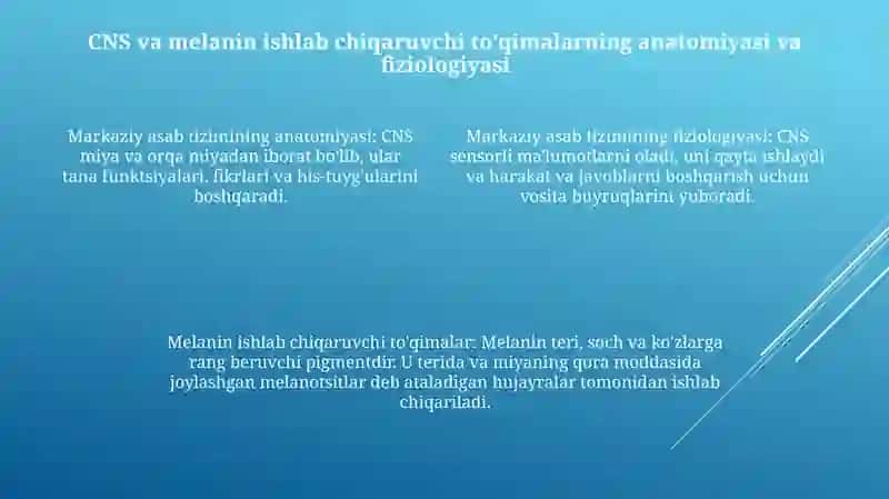 Markaziy Nerv Sistemasining O'Smalari, Melanin Xosil Qiluvchi To'Qima O'Smalari 3