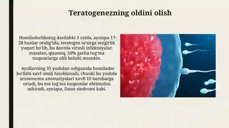 Proembrional rivojlanishning umumiy qonuniyatlari 3