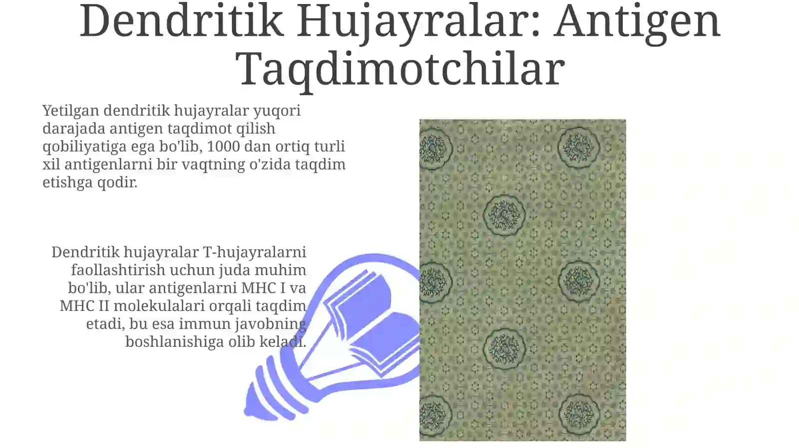 Mononuklear-fagotsitlar tizimi 3
