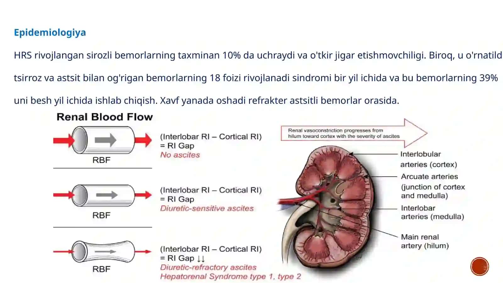 Gepato-renalsindrom 3