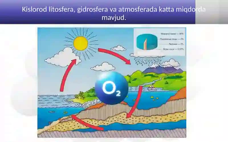 Kislorodning tabiatdagi aylanishi 3