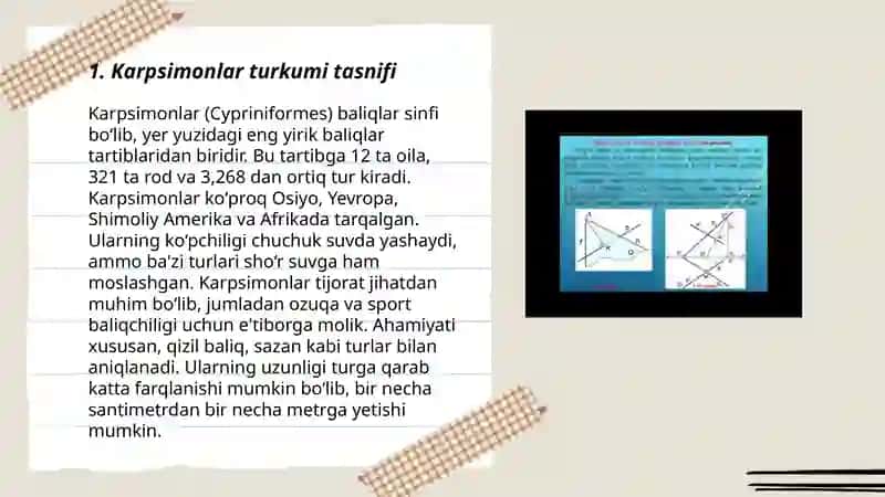 Karpsimonlar 3