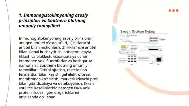 Immunogistokimyo Southern blotting - teri kasalliklari diagnostika qilish usullari 3