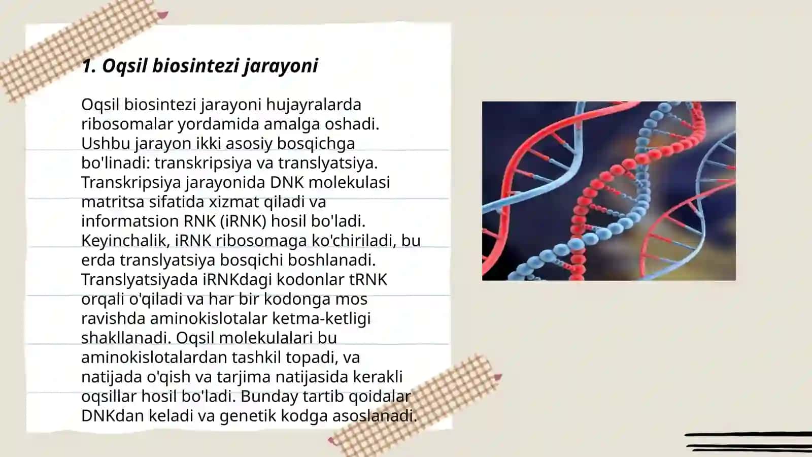 Oqsil biosintezi,genetik injeneriya,òzgaruvchanlik 3