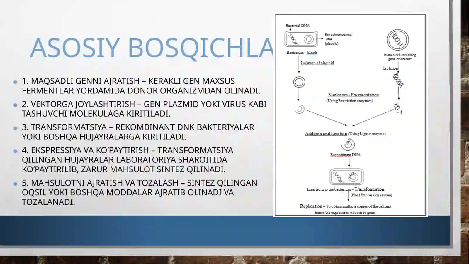 Tibbiyotda DNK rekombinatlarining qo'llanilishi 3