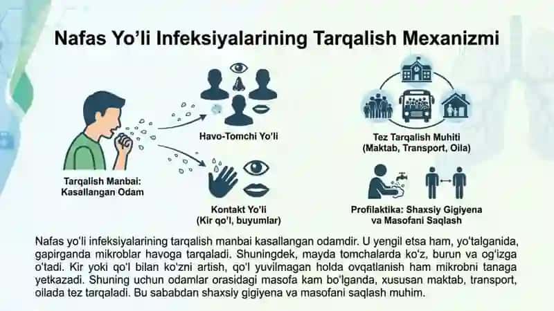Nafas yoʻli infeksiyalari 3