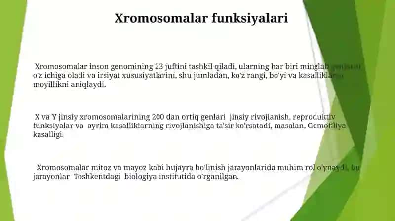Xromasoma 3