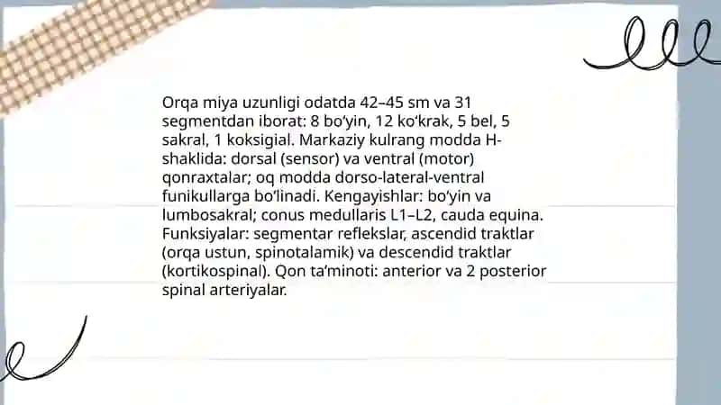 Markaziy nerv tizimining xususiy fiziologiyasi 3