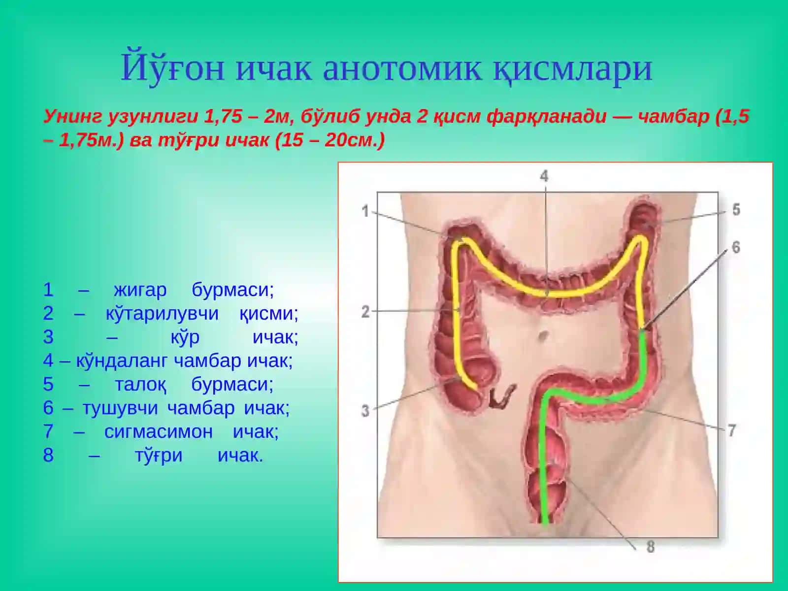 Йўғон ва тўғри ичак хирургик касалликлари 3