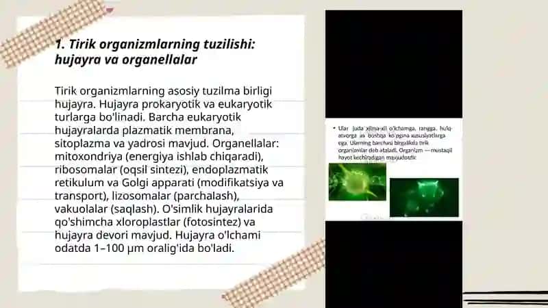 Tirik organizmlar va ularda kechadigan hayotiy jarayonlar 3