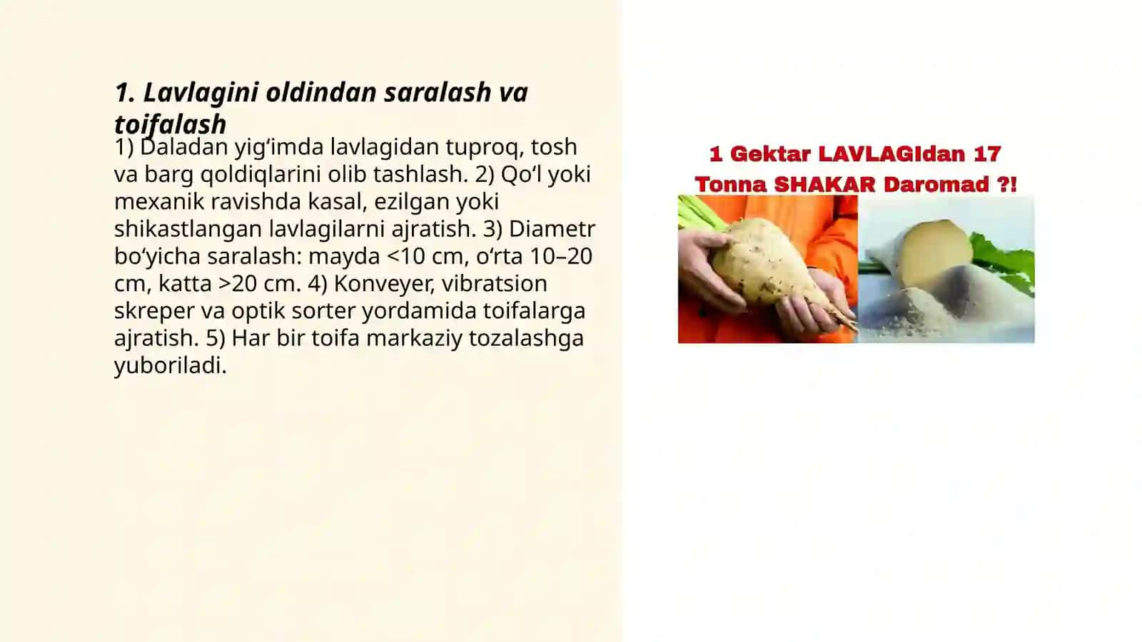 Qand lavlagini begona aralashmalardan tozalash 3