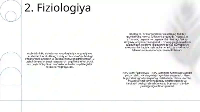 Nerv Sistemasi 3