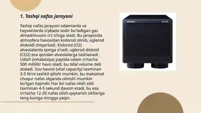 Spirometriya 3