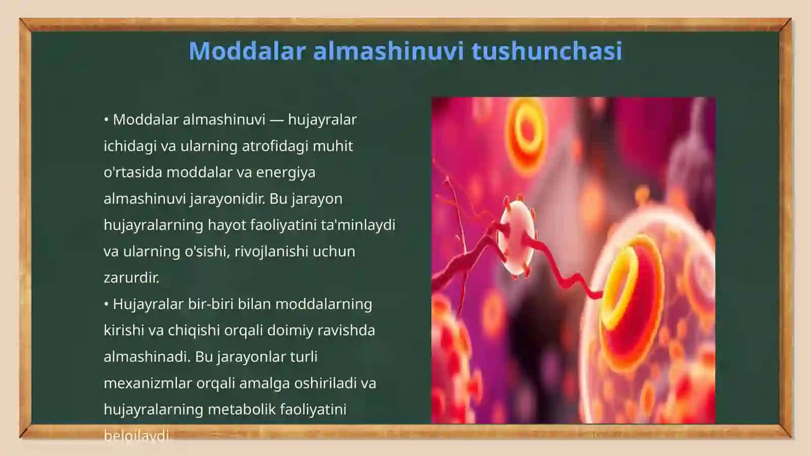 Hujayrada moddalar almashinuvi 3