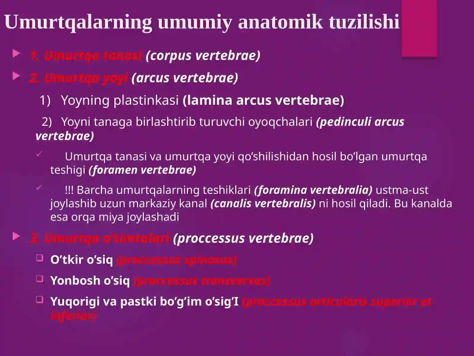UMURTQALAR ANATOMIYASI PREZENTATSIYA 3