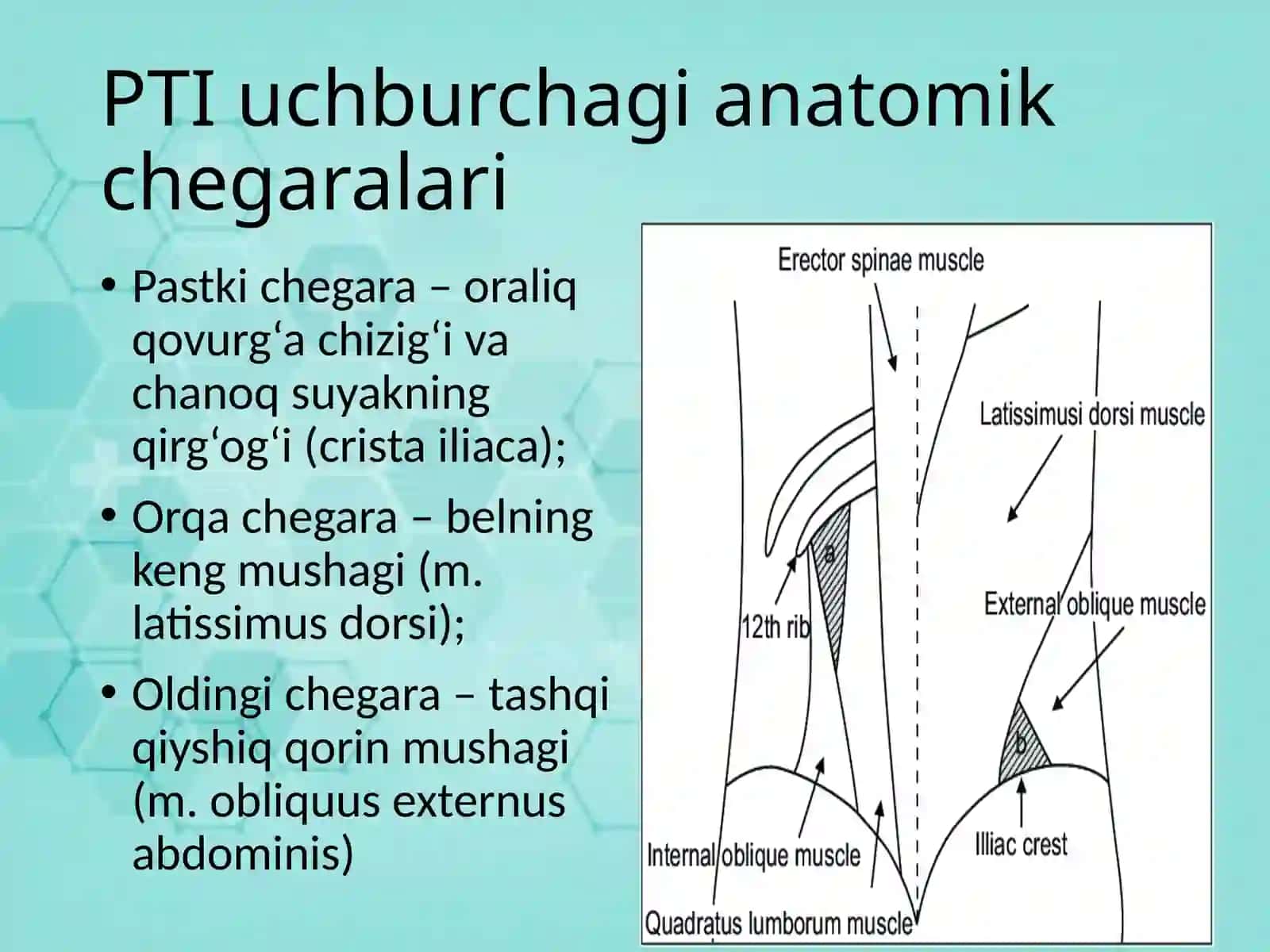 Petit(PTI) uchburchagi va oraliq churralar 3